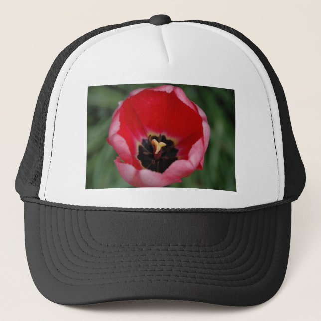 Tulip Trucker Hat (Front)