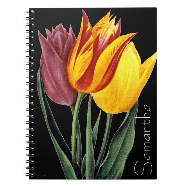 Tulip (Tulipa Gesneriana) Spiral Notebook (Front)