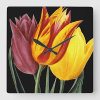 Tulip (Tulipa Gesneriana)