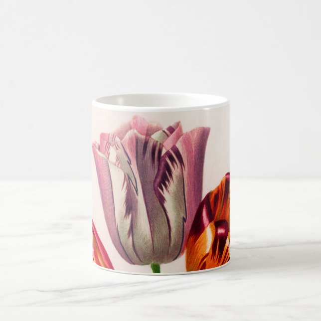 Tulip vintage illustrated coffee mug (Center)
