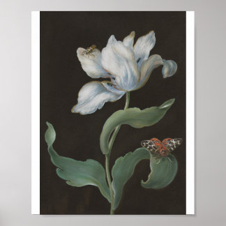 Tulip with a Garden Tiger Moth by B. R. Dietzsch Poster