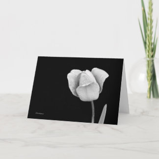 Tulip with raindrops in black & white card