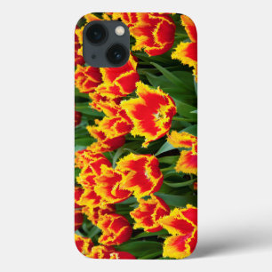 Tulipa Fabio, Keukenhof, Netherlands iPhone 13 Case