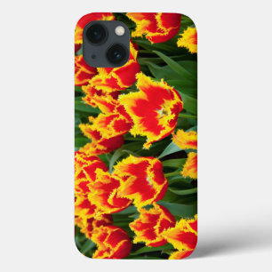 Tulipa Fabio, Keukenhof, Netherlands iPhone 13 Case
