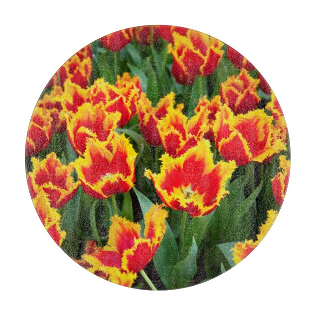 Tulipa Fabio, Keukenhof, Netherlands Cutting Board (Front)