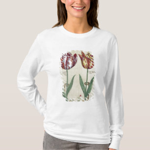 Tulipa Octaviani del pont, and Tulipa Elegant, fro T-Shirt