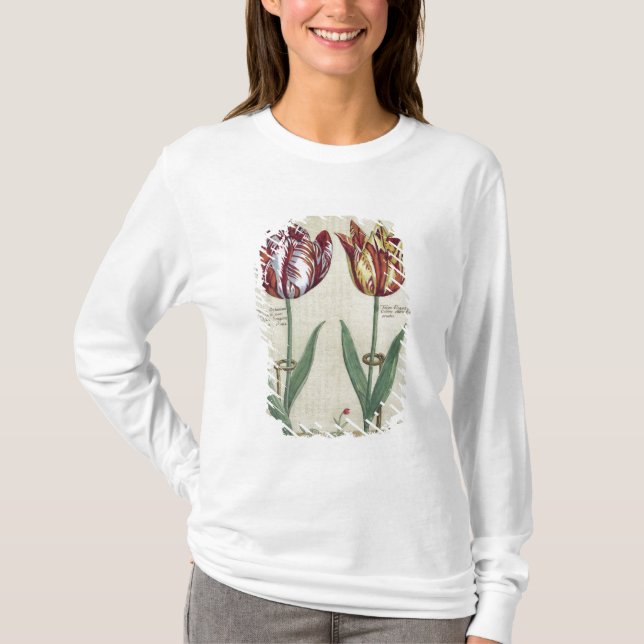 Tulipa Octaviani del pont, and Tulipa Elegant, fro T-Shirt (Front)