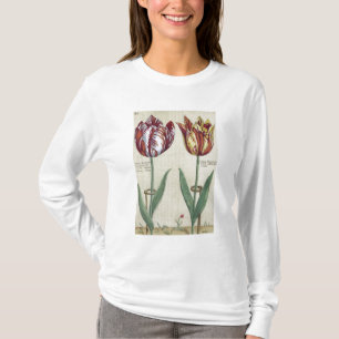 Tulipa Octaviani del pont, and Tulipa Elegant, fro T-Shirt