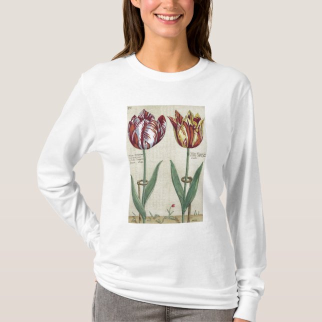 Tulipa Octaviani del pont, and Tulipa Elegant, fro T-Shirt (Front)