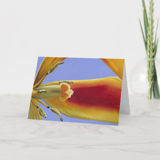 Tulipe Arabesque - Art Card