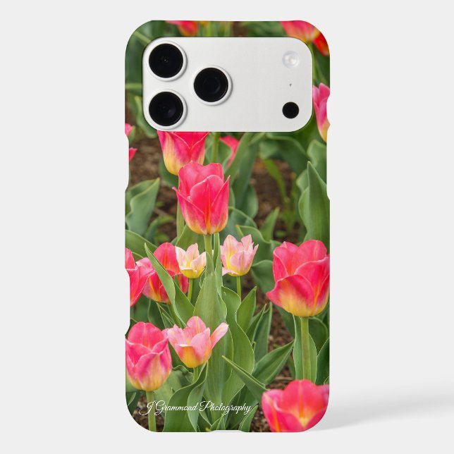 Tulips (Back)