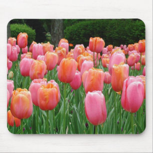 Tulips #1 mouse pad