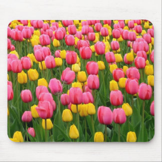 Tulips 1 Mouse Pad