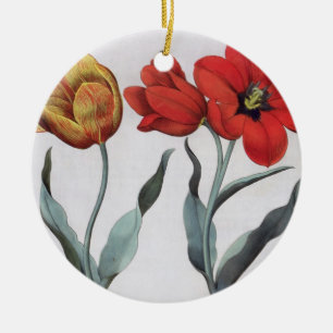 Tulips: 1.Tulipa globosa serotina cinnabrio colore Ceramic Tree Decoration