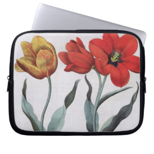 Tulips: 1.Tulipa globosa serotina cinnabrio colore Laptop Sleeve