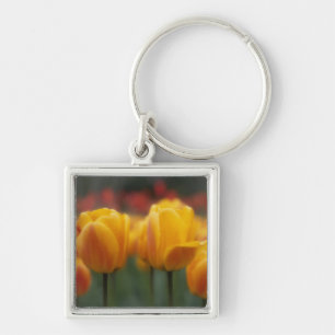 Tulips 2 key ring