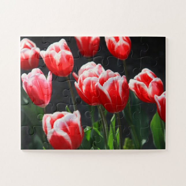 Tulips 30-pc jigsaw puzzle (Horizontal)