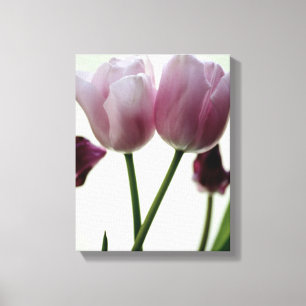 Tulips 3259 canvas print