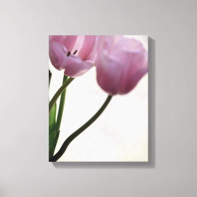 Tulips 3265 canvas print (Front)