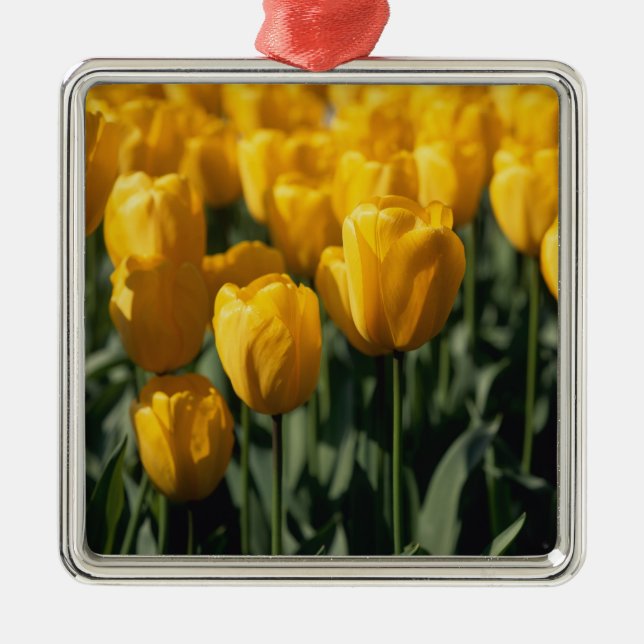 Tulips 3 metal tree decoration (Front)