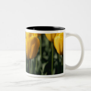 Tulips 3 Two-Tone coffee mug