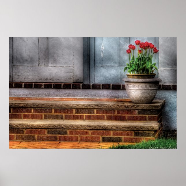 Tulips - A pot of tulips Poster (Front)