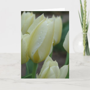 Tulips After The Rain Holiday Card