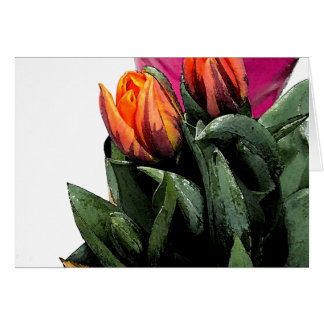 Tulips Again