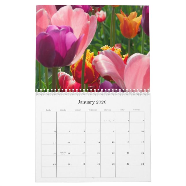 tulips all year round calendar (Jan 2026)
