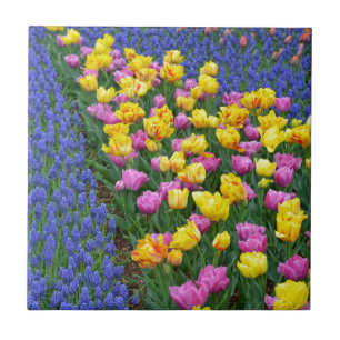 Tulips and bluebells flower garden tile