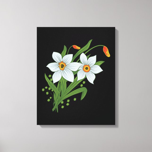 Tulips and Daffodils Flowers Black Background Canvas Print (Front)