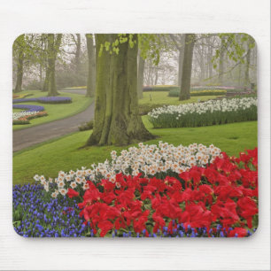 Tulips and daffodils, Keukenhof Gardens, Mouse Pad