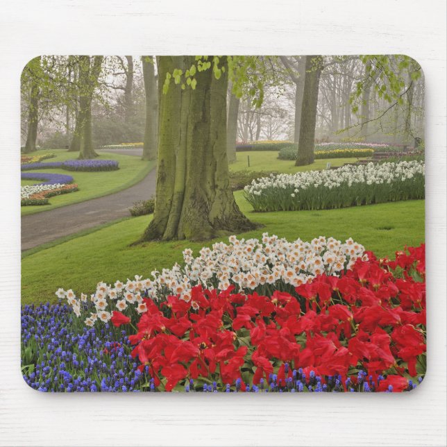 Tulips and daffodils, Keukenhof Gardens, Mouse Pad (Front)
