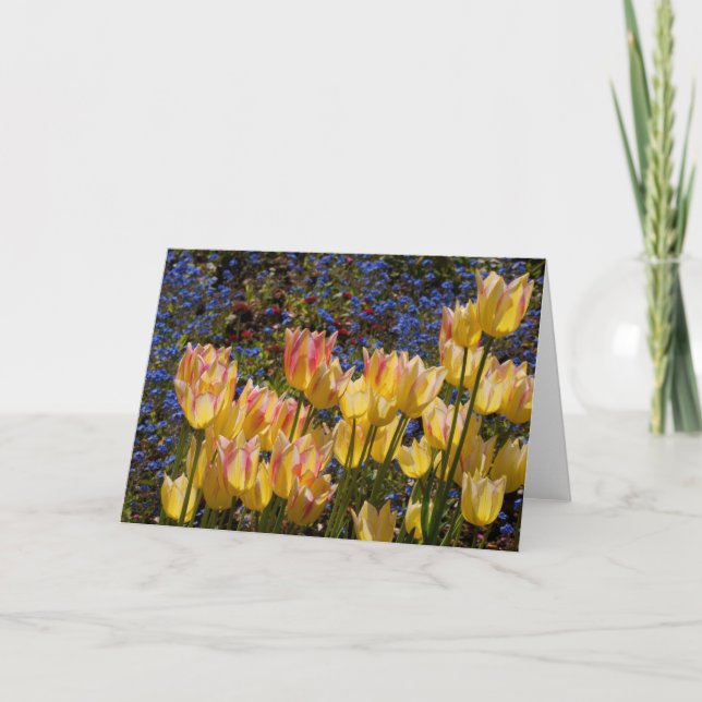 Tulips and Forget-me-nots Card (Front)