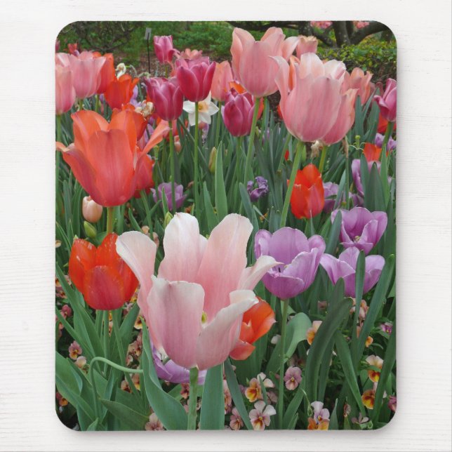 Tulips and Pansies 2 Mouse Pad (Front)