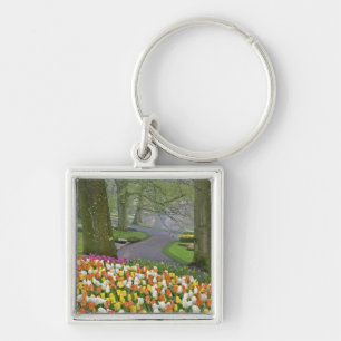 Tulips and roadway, Keukenhof Gardens, Lisse, Key Ring