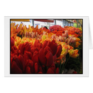 Tulips at Pike Place Public Market, Seattle