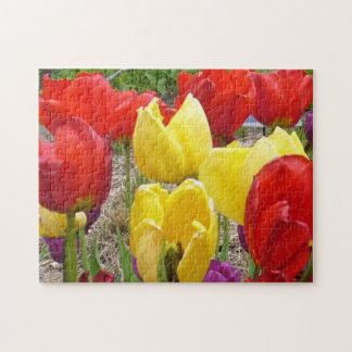 Tulips at the Garden Puzzle