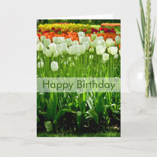 Tulips Birthday Card | Geburtstagskarte Tulpen