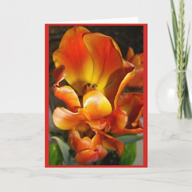 TULIPS Blank note card (Front)