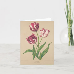 Tulips botanical art thank you card