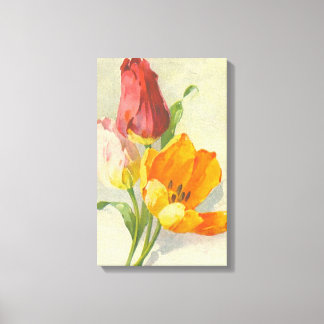 Tulips by Catherine Klein Canvas Print