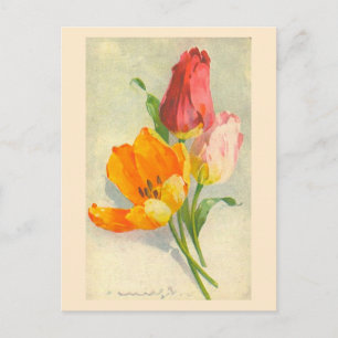 Tulips by Catherine Klein Postcard