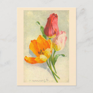 Tulips by Catherine Klein Postcard