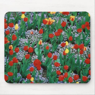 tulips  by TDGallery Mouse Pad