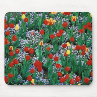 tulips  by TDGallery Mouse Pad