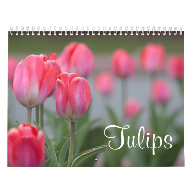 Tulips Calendar (Cover)