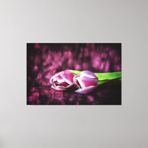Tulips Canvas Print