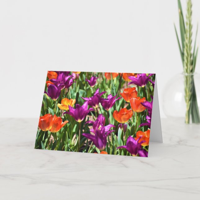 Tulips, card (Front)