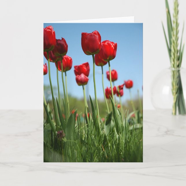 Tulips Card (Front)